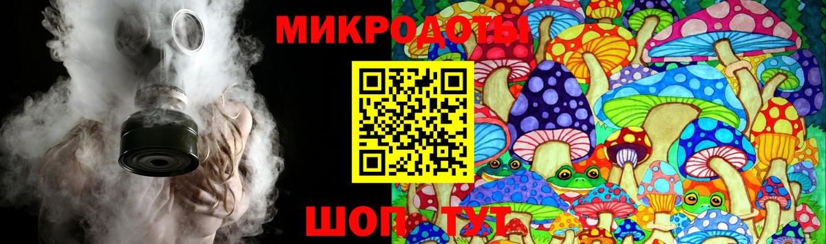 Горно-Алтайск  Псилоцибиновые грибы Psilocybine cubensis  Вход с VPN 